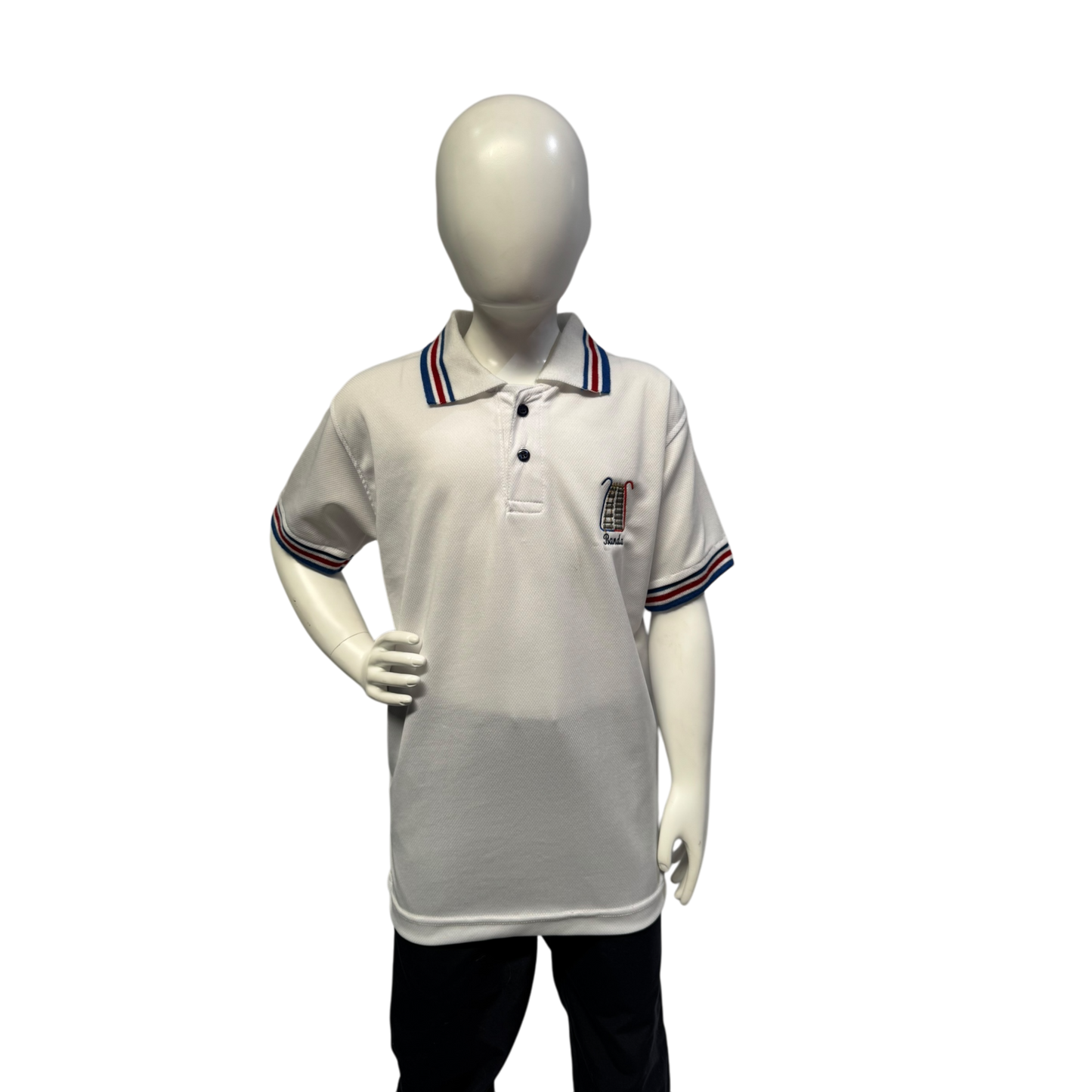 Polo Escolar Patriótica II