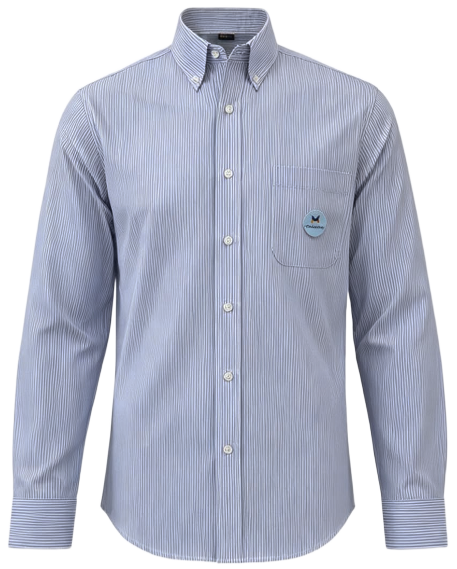 Camisa Rallas Azul Manga larga